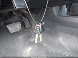 Miniaturka zdjęcia 11
