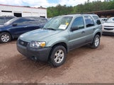 Ford Escape Xlt/Xlt Sport 1FMYU03136KC35027 fotografie
