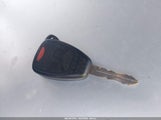 Miniaturka zdjęcia 11