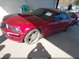 Ford Mustang Gt 1ZVHT85H655189834 снимка