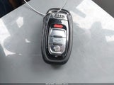 Miniaturka zdjęcia 11