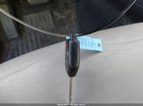Miniaturka zdjęcia 11