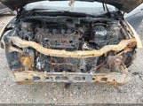 Miniaturka zdjęcia 6