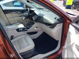 Miniaturka zdjęcia 5