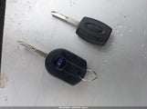 Miniaturka zdjęcia 11