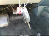 Miniaturka zdjęcia 11