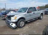 Ford F-150 Xlt 1FTEX1E80AFD74631 снимка