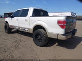 Ford F-150 Fx4/Harley-Davidson/King Ranch/Lariat/Platinum/Xl/Xlt 1FTFW1EV8AFC50037 fotografie