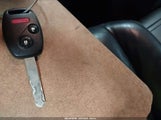 Miniaturka zdjęcia 11
