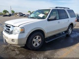 Ford Expedition Eddie Bauer/King Ranch 1FMFU17529LA11658 fotografie