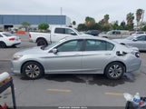 Honda Accord Lx 1HGCR2F39EA199245 снимка
