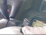 Honda Civic Ex 1HGEM229X5L066855 снимка