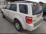 Ford Escape Hybrid Limited 1FMCU49389KB08384 photo