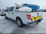 Ford F-150 Xlt 1FTFW1EF3EKD27984 снимка