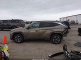 Hyundai Tucson Hybrid Blue KM8JBDD11SU291821 photo