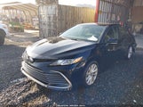 Miniaturka zdjęcia 2