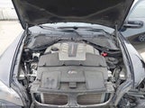 Miniaturka zdjęcia 10