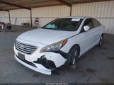 Hyundai Sonata 5NPE24AF5HH534099 снимка