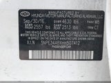 Hyundai Sonata Sport 2.0T 5NPE34ABXHH507412 fotografie