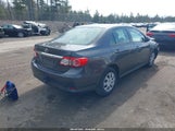 Toyota Corolla L 2T1BU4EE8DC073217 снимка