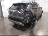 Miniaturka zdjęcia 6