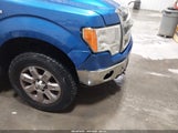 Ford F-150 Xlt 1FTFW1ET1DKF36323 снимка