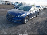 Hyundai Sonata Sport 5NPE34AF7HH546168 photo