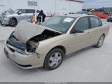 Chevrolet Malibu Ls 1G1ZT54845F312931 снимка