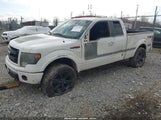 Ford F-150 Fx4 1FTFX1EF6DFD99606 fotografie