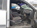 Ford F-150 Fx4 1FTFX1EF6DFD99606 fotografie
