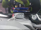 Miniaturka zdjęcia 11