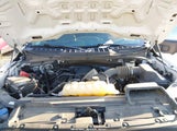 Ford F-150 Xl 1FTFW1E54NKE11612 fotografie