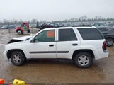 Chevrolet Trailblazer Ls 1GNDS13S932414943 снимка