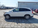 Honda Cr-V Ex-L 5J6RE48738L038800 photo