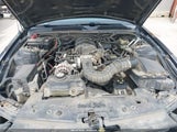 Ford Mustang V6 1ZVFT80N565142137 снимка