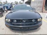 Ford Mustang V6 1ZVFT80N565142137 снимка