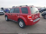 Ford Escape Xlt 1FMCU0D71BKB25536 снимка