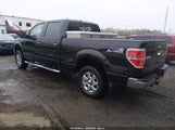 Ford F-150 Xlt 1FTFW1EF1DFA95814 снимка