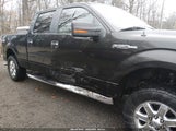 Ford F-150 Xlt 1FTFW1EF1DFA95814 снимка