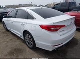 Hyundai Sonata Sport 5NPE34AF9GH329204 photo