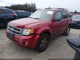 Ford Escape Xlt 1FMCU03Z58KC16224 снимка