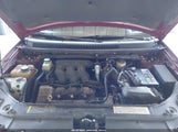 Miniaturka zdjęcia 10