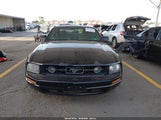 Ford Mustang V6 Deluxe/V6 Premium 1ZVHT80N985125191 fotografie