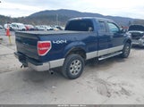 Ford F-150 Xlt 1FTFX1EF9DFD46902 fotografie
