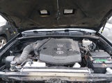 Miniaturka zdjęcia 10