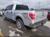 Ford F-150 Fx4/Harley-Davidson/King Ranch/Lariat/Platinum/Xl/Xlt 1FTFW1EV9AFD04347 photo