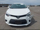 Toyota Corolla L 5YFBURHE2EP174313 снимка