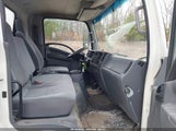 Miniaturka zdjęcia 5