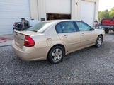 Chevrolet Malibu Lt 1G1ZU54845F109700 снимка