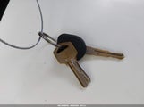 Miniaturka zdjęcia 11